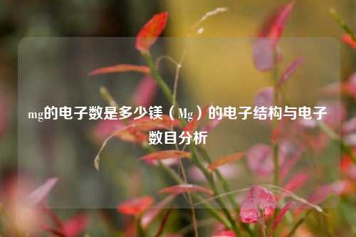 mg的电子数是多少镁（Mg）的电子结构与电子数目分析