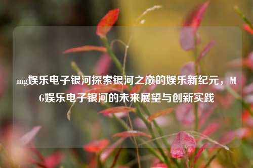 mg娱乐电子银河探索银河之巅的娱乐新纪元，MG娱乐电子银河的未来展望与创新实践