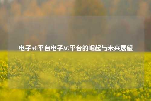 电子AG平台电子AG平台的崛起与未来展望