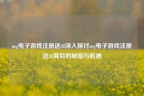 mg电子游戏注册送38深入探讨mg电子游戏注册送38背后的秘密与机遇