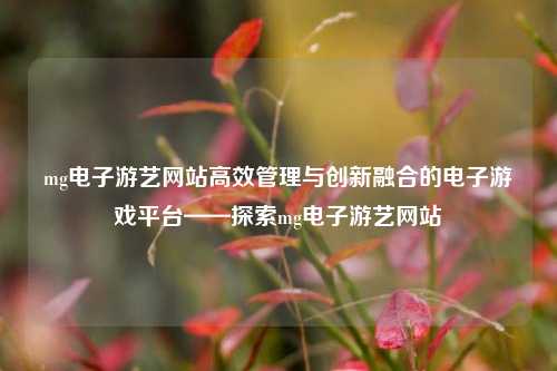 mg电子游艺网站高效管理与创新融合的电子游戏平台——探索mg电子游艺网站