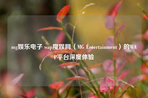 mg娱乐电子 wap魔娱网（MG Entertainment）的WAP平台深度体验
