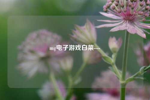 mg电子游戏白菜---