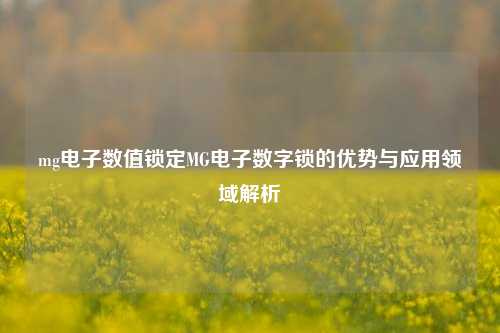 mg电子数值锁定MG电子数字锁的优势与应用领域解析