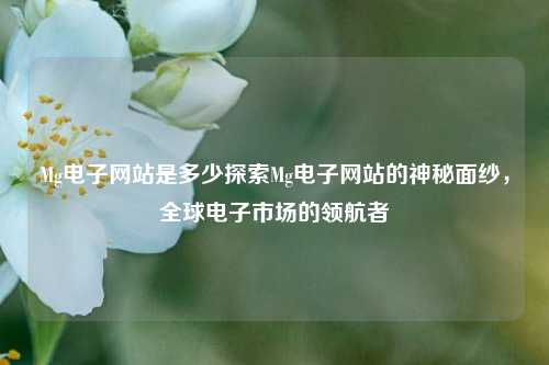 Mg电子网站是多少探索Mg电子网站的神秘面纱，全球电子市场的领航者