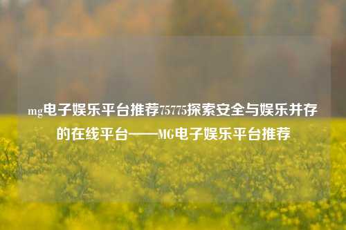 mg电子娱乐平台推荐75775探索安全与娱乐并存的在线平台——MG电子娱乐平台推荐