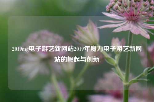 2019mg电子游艺新网站2019年魔力电子游艺新网站的崛起与创新