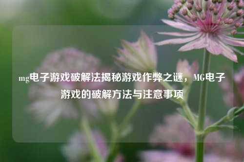 mg电子游戏破解法揭秘游戏作弊之谜，MG电子游戏的破解方法与注意事项