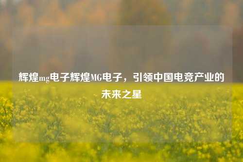 辉煌mg电子辉煌MG电子，引领中国电竞产业的未来之星