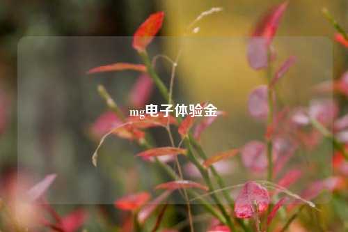 mg电子体验金