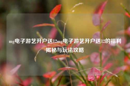 mg电子游艺开户送12mg电子游艺开户送12的福利揭秘与玩法攻略