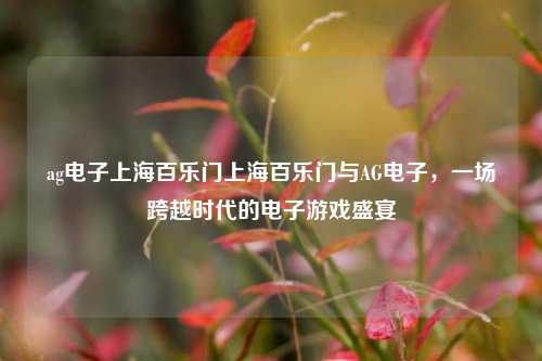ag电子上海百乐门上海百乐门与AG电子，一场跨越时代的电子游戏盛宴