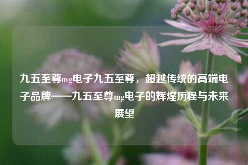 九五至尊mg电子九五至尊，超越传统的高端电子品牌——九五至尊mg电子的辉煌历程与未来展望