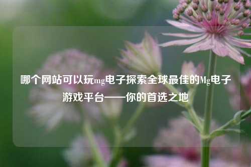 哪个网站可以玩mg电子探索全球最佳的Mg电子游戏平台——你的首选之地