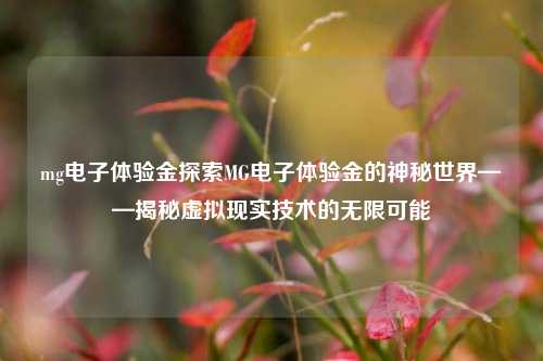 mg电子体验金探索MG电子体验金的神秘世界——揭秘虚拟现实技术的无限可能