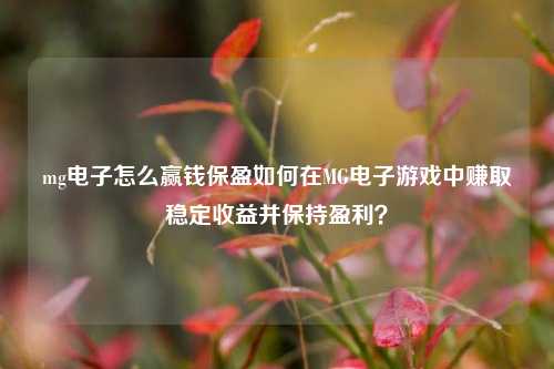 mg电子怎么赢钱保盈如何在MG电子游戏中赚取稳定收益并保持盈利？