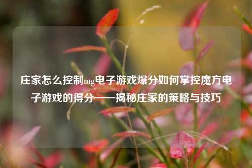 庄家怎么控制mg电子游戏爆分如何掌控魔方电子游戏的得分——揭秘庄家的策略与技巧