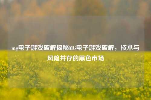 mg电子游戏破解揭秘MG电子游戏破解，技术与风险并存的黑色市场