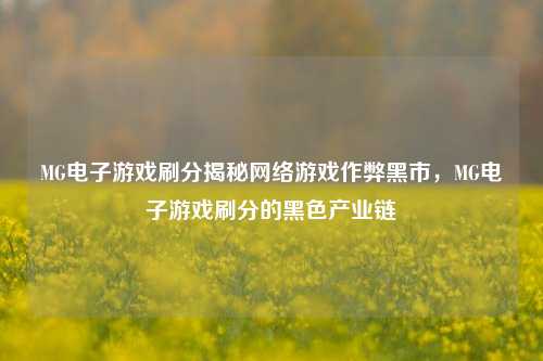 MG电子游戏刷分揭秘网络游戏作弊黑市，MG电子游戏刷分的黑色产业链