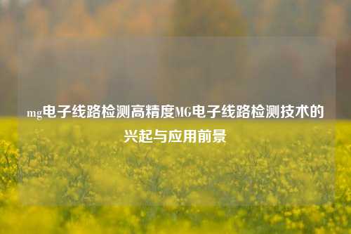 mg电子线路检测高精度MG电子线路检测技术的兴起与应用前景