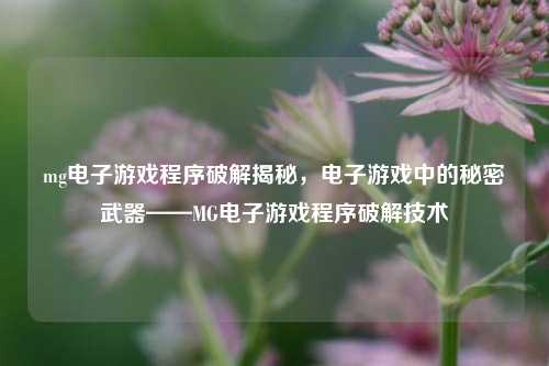mg电子游戏程序破解揭秘，电子游戏中的秘密武器——MG电子游戏程序破解技术