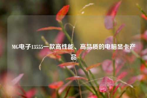 MG电子13555一款高性能、高品质的电脑显卡产品