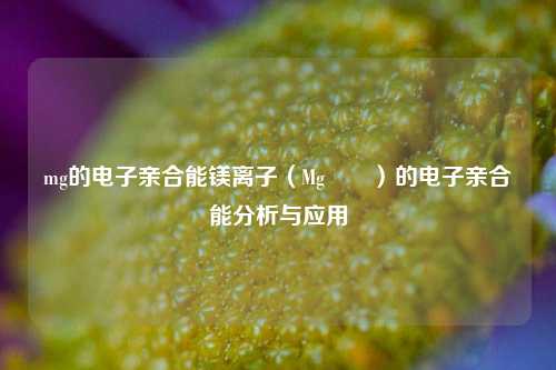 mg的电子亲合能镁离子（Mg²⁺）的电子亲合能分析与应用