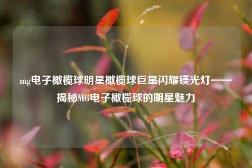 mg电子橄榄球明星橄榄球巨星闪耀镁光灯——揭秘MG电子橄榄球的明星魅力