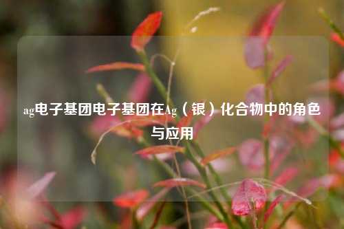 ag电子基团电子基团在Ag（银）化合物中的角色与应用