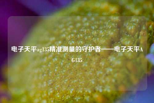电子天平ag135精准测量的守护者——电子天平AG135