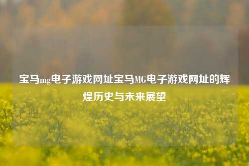 宝马mg电子游戏网址宝马MG电子游戏网址的辉煌历史与未来展望