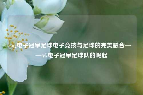 ag电子冠军足球电子竞技与足球的完美融合——AG电子冠军足球队的崛起