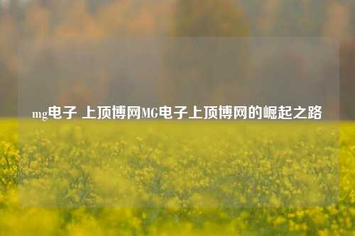mg电子 上顶博网MG电子上顶博网的崛起之路
