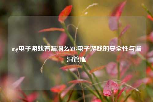 mg电子游戏有漏洞么MG电子游戏的安全性与漏洞管理
