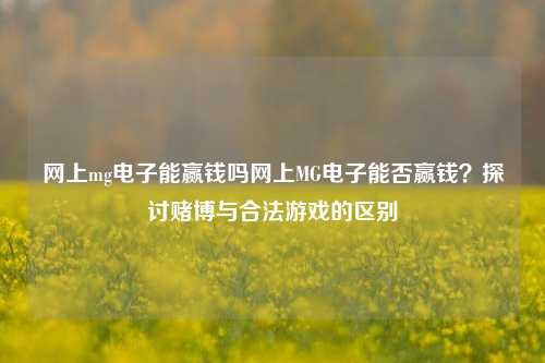 网上mg电子能赢钱吗网上MG电子能否赢钱？探讨赌博与合法游戏的区别