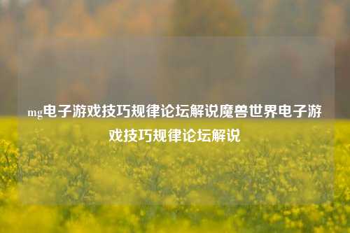 mg电子游戏技巧规律论坛解说魔兽世界电子游戏技巧规律论坛解说