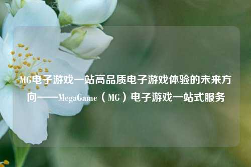MG电子游戏一站高品质电子游戏体验的未来方向——MegaGame（MG）电子游戏一站式服务