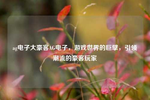 ag电子大豪客AG电子，游戏世界的巨擘，引领潮流的豪客玩家