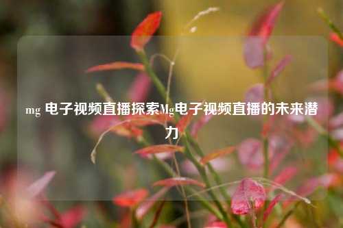 mg 电子视频直播探索Mg电子视频直播的未来潜力