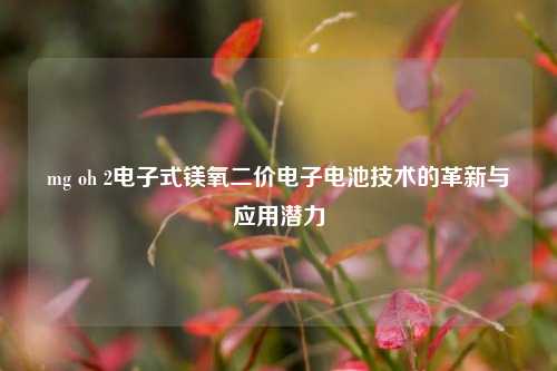 mg oh 2电子式镁氧二价电子电池技术的革新与应用潜力