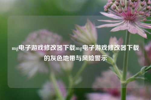 mg电子游戏修改器下载mg电子游戏修改器下载的灰色地带与风险警示