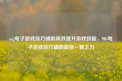 mg电子游戏技巧辅助高效提升游戏技能，MG电子游戏技巧辅助助你一臂之力