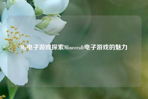 Mg电子游戏探索Minecraft电子游戏的魅力