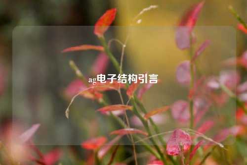 ag电子结构引言