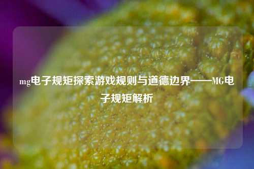 mg电子规矩探索游戏规则与道德边界——MG电子规矩解析