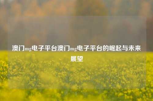 澳门mg电子平台澳门mg电子平台的崛起与未来展望