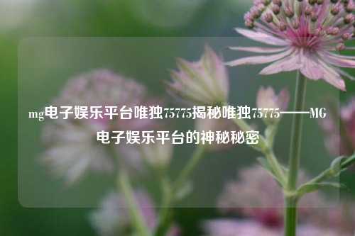 mg电子娱乐平台唯独75775揭秘唯独75775——MG电子娱乐平台的神秘秘密