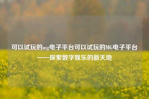 可以试玩的mg电子平台可以试玩的MG电子平台——探索数字娱乐的新天地