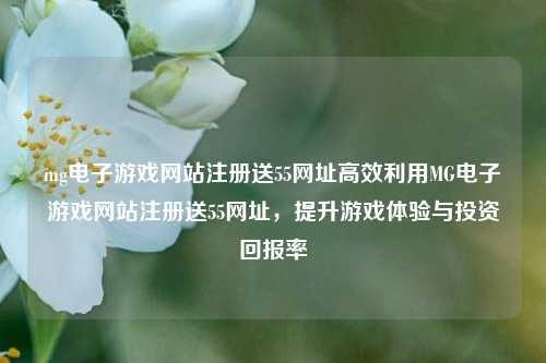 mg电子游戏网站注册送55网址高效利用MG电子游戏网站注册送55网址，提升游戏体验与投资回报率