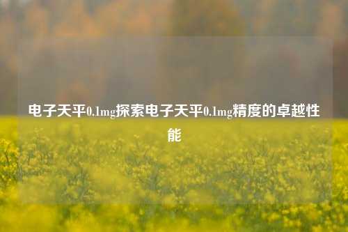 电子天平0.1mg探索电子天平0.1mg精度的卓越性能